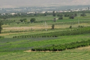 armenia-2014_691