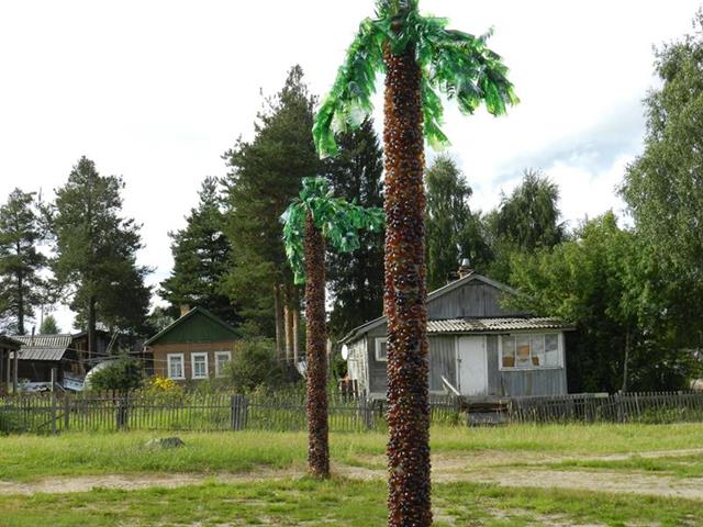 пальмы поселок Северный Архангельская область