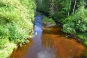 arkhangelskaya-2013__637