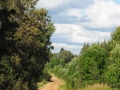 arkhangelskaya-2013__073
