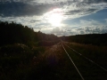 arkhangelskaya-2013__115