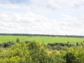 arkhangelskaya-2013__208