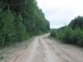 arkhangelskaya-2013__573
