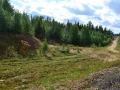 arkhangelskaya-2013__640