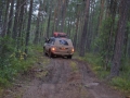 arkhangelskaya-2013__745