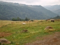 georgia-2016_130