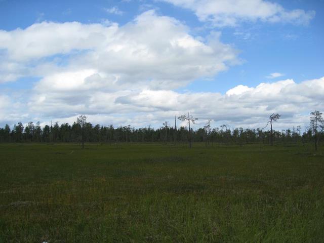 дорога поселок Амбарный - Белое море