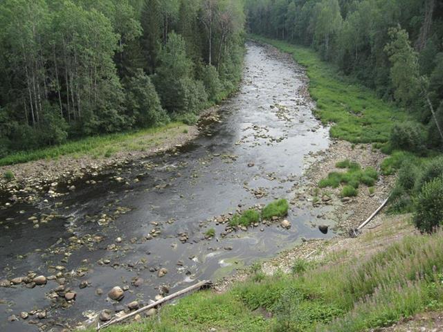 река Андома