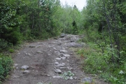 kola-2011__136