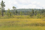 kola-2011__252