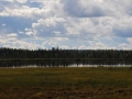 kola-2011__254