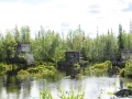 kola-2011__271