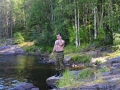 kola-2011__350