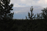 kola-2012__072