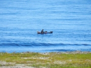 kola-2012__339