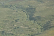 narian-mar-2008__030