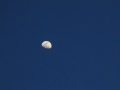 chernozem_2014__103