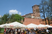 poland-2015__375