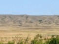 ural-2015_062